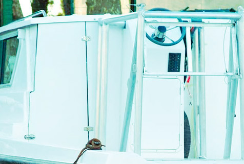 Trakker 760 Cabinado